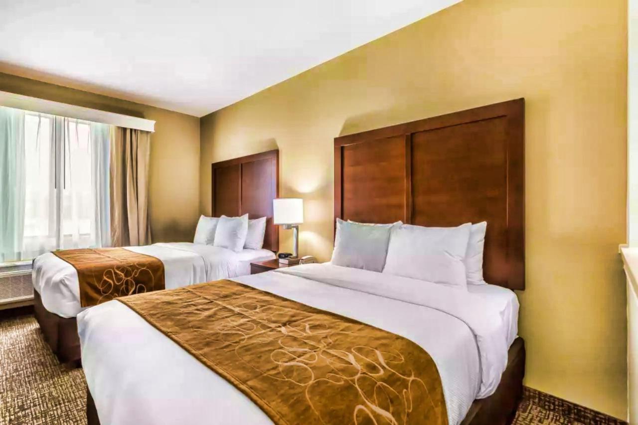Comfort Suites Houston I45 North Aldine Exterior foto